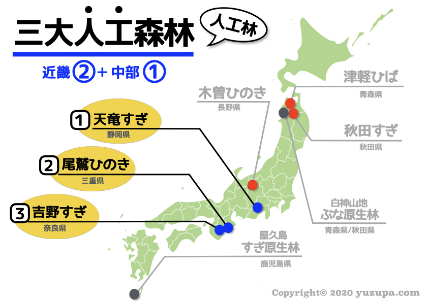 中学受験 三大美林とは 日本の ８つの森林 をスッキリおさえろ かるび勉強部屋