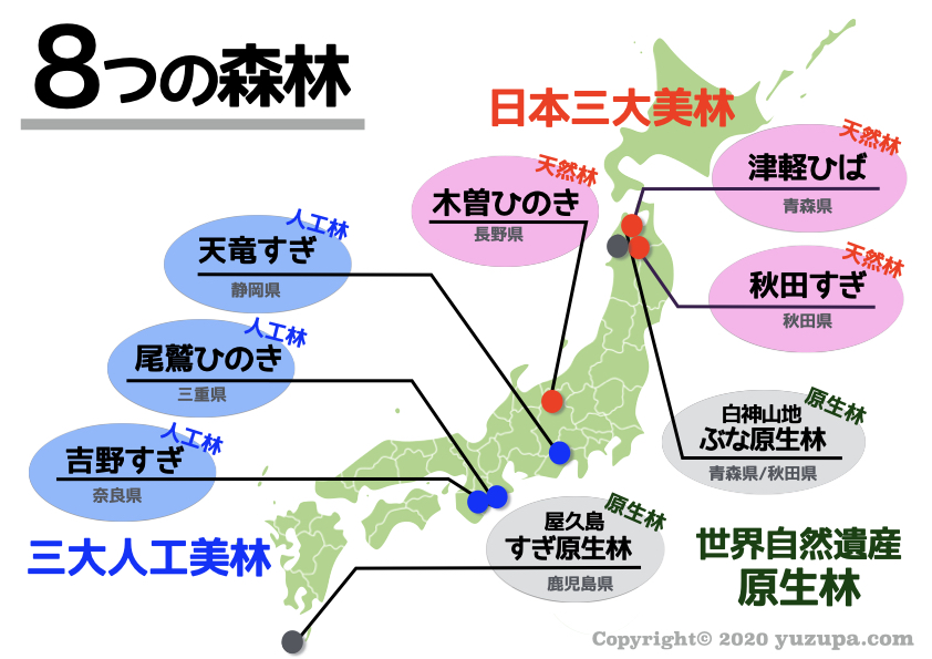 中学受験 三大美林とは 日本の ８つの森林 をスッキリおさえろ かるび勉強部屋