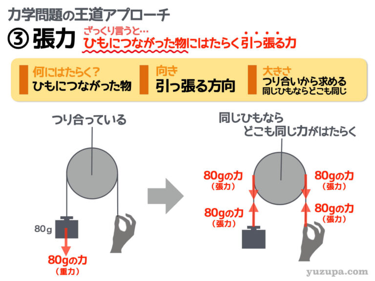 中学受験:ばね問題の解き方…単純な問題でも”つり合いの式”を意識せよ | かるび勉強部屋